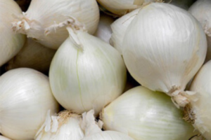Oignons blancs