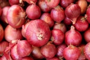Oignons
