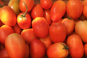 Tomates