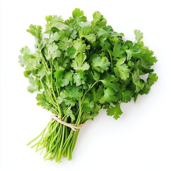 Coriandre coriandre fraîche 250g 500g
