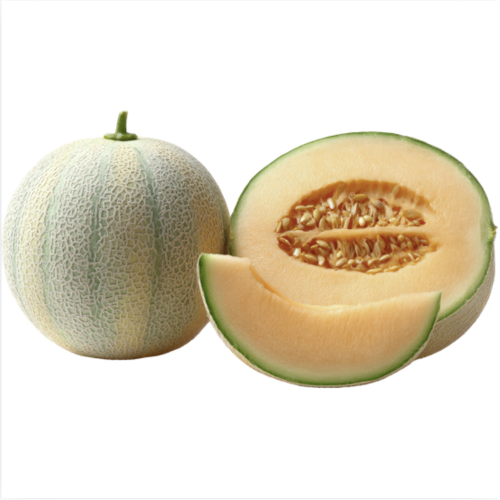 melon frais djibouti