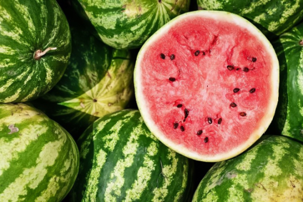 Pastèque Pastèques