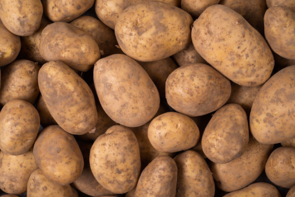 Pomme de terre Pommes de terre