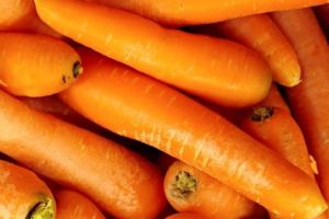 Carottes