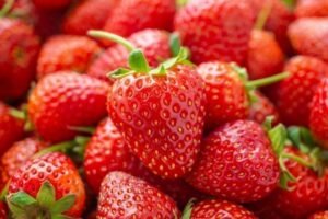 Fraises