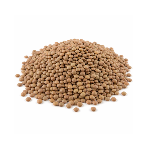 lentilles brunes